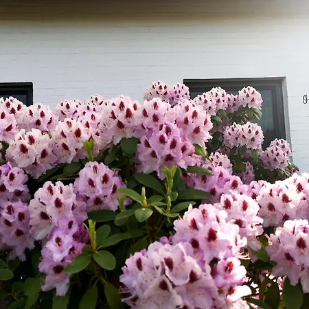 דירה Gemuetliche Im Haus Meereswind *